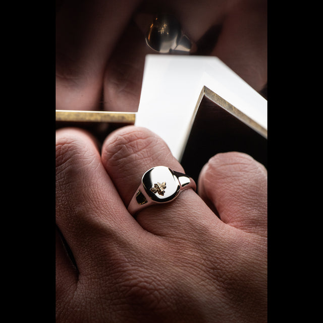 Crest Signet Ring - TALISMAN - AHW Studio