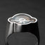 Spinner Signet - REGULATOR - AHW Studio