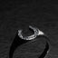 Horseshoe Signet - TOKEN - AHW Studio