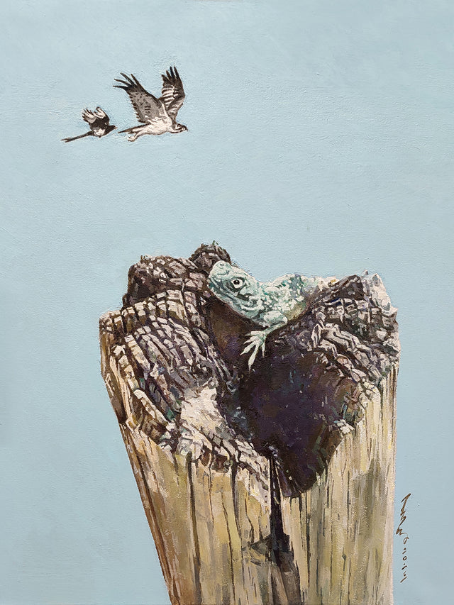THE BIRDS AND THE LIZARD - AHW Studio