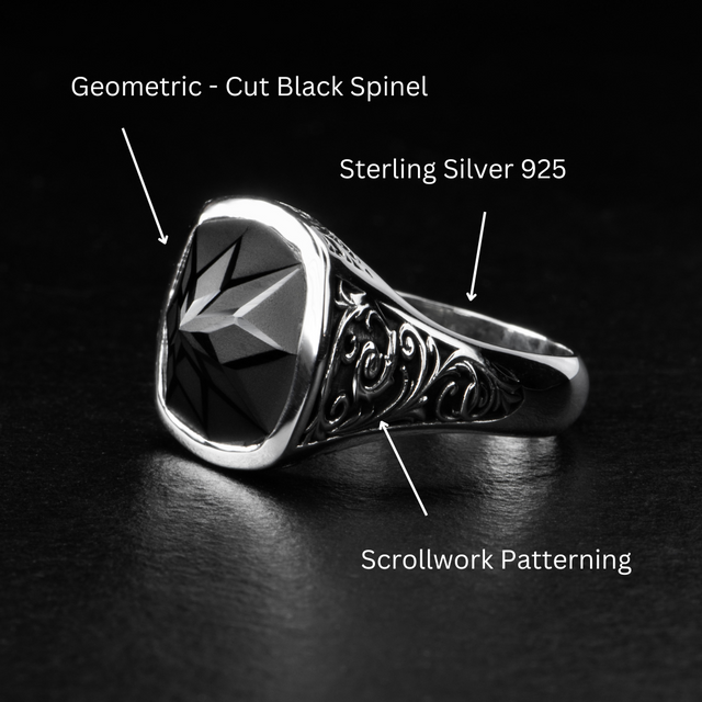 Geometric Signet Ring - BLACK LOTUS - AHW Studio