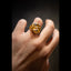 Black Diamond • Ruby • Gold Dragons - ETERNITY - AHW Studio