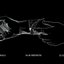 Coin Bracelet - CATHEDRAL - AHW Studio