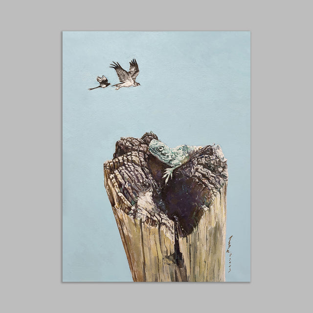 THE BIRDS AND THE LIZARD - AHW Studio